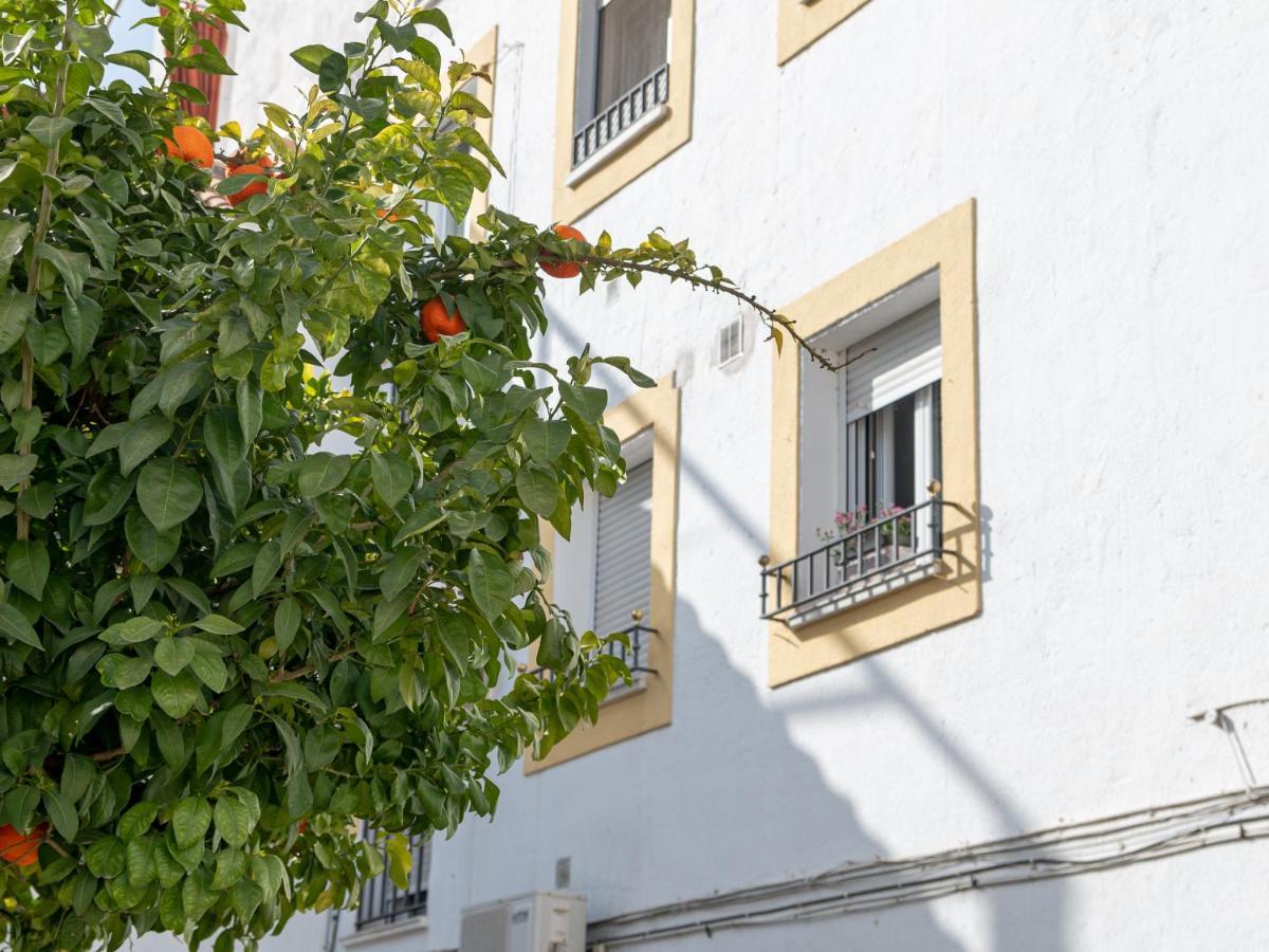 Nayber Gavia - Nuevo Y Céntrico En Apartamento