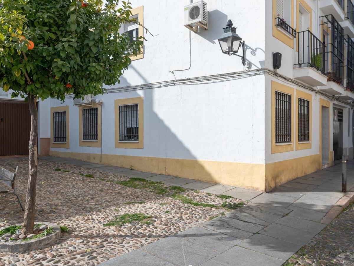 Apartamento Nayber Gavia - Nuevo Y Céntrico En *